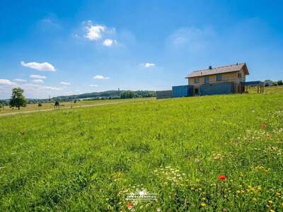 Grundstück kaufen in 4840 Pilsbach