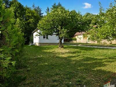 Haus mit Garten mieten in 3163 Rohrbach (Bild 2)