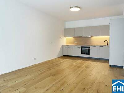 Terrassenwohnung kaufen in 2391 Kaltenleutgeben (Bild 2)