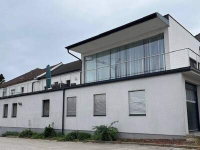 Haus kaufen in 3452 Atzenbrugg