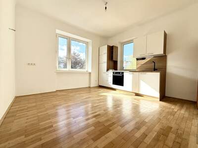 Altbauwohnung mit Balkon mieten in 1130 Wien (Bild 1)