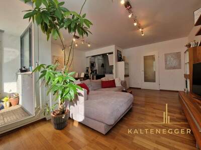 Wohnung mieten in 1230 Wien