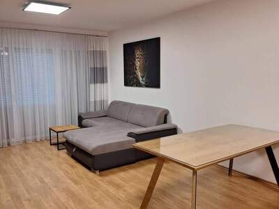 Mietwohnung provisionsfrei in 7011 Siegendorf