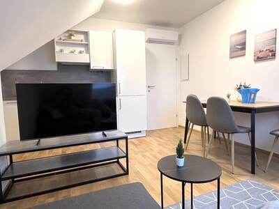 Terrassenwohnung mieten in 1220 Wien (Bild 1)