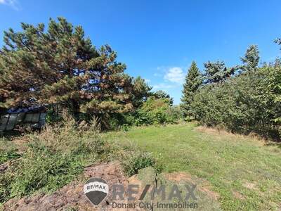 Produktion mieten in 1220 Wien (Bild 3)