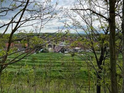 Haus kaufen in 2275 Bernhardsthal