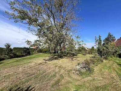 Grundstück kaufen in 2551 Enzesfeld