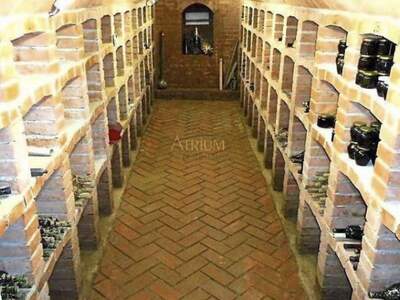 Gewerbeobjekt kaufen in 2172 Schrattenberg