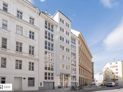 Anlageobjekt kaufen in 1020 Wien