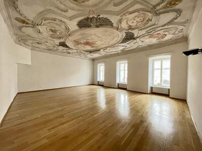 Gewerbeobjekt mieten in 2380 Perchtoldsdorf (Bild 2)