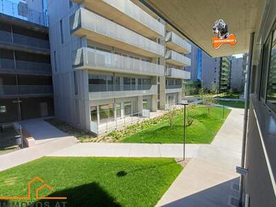 Gewerbeobjekt mieten in 1220 Wien 22. (Bild 1)