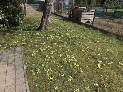 Haus kaufen in 8580 Köflach (Bild 2)