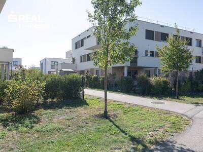 Terrassenwohnung kaufen in 2522 Oberwaltersdorf (Bild 5)