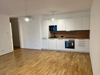 Mietwohnung provisionsfrei in 2340 Mödling