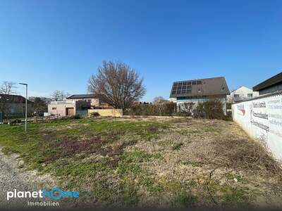 Grundstück kaufen in 7100 Neusiedl (Bild 1)