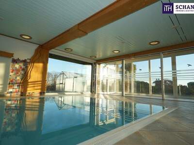 Büro / Praxis mieten in 8301 Laßnitzhöhe (Bild 1)