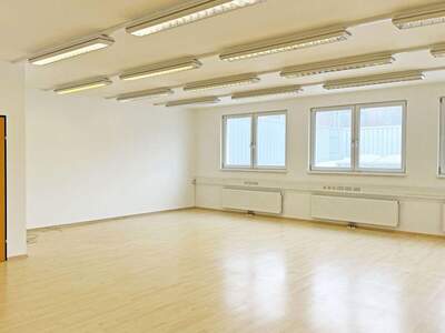 Gewerbeobjekt mieten in 3021 Pressbaum (Bild 1)