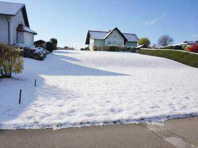 Grundstück kaufen in 8054 Mantscha (Bild 3)