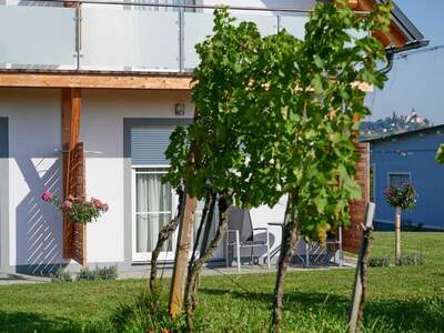 Gewerbeobjekt kaufen in 8354 Klapping (Bild 4)