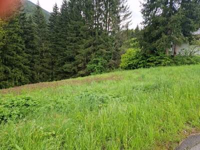 Grundstück kaufen in 8635 Gollrad (Bild 3)