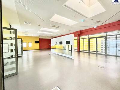 Gewerbeobjekt mieten in 2320 Schwechat (Bild 4)