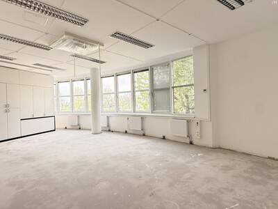Gewerbeobjekt mieten in 2320 Schwechat (Bild 3)