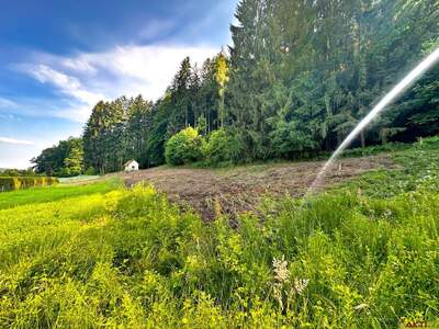 Grundstück kaufen in 8151 Mayersdorf (Bild 4)