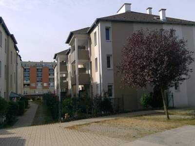 Wohnung mieten in 2486 Pottendorf