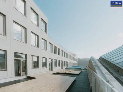 Gewerbeobjekt mieten in 1230 Wien