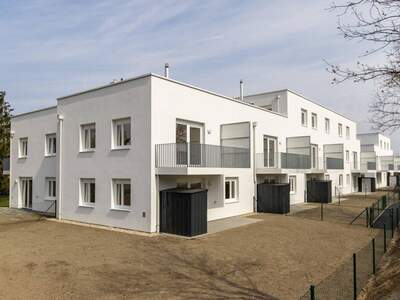 Wohnung mieten in 2125 Streifing