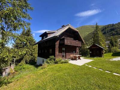 Anlageobjekt kaufen in 8953 Planneralm (Bild 3)