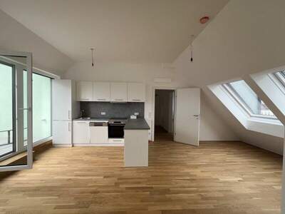 Terrassenwohnung mieten in 1100 Wien (Bild 1)