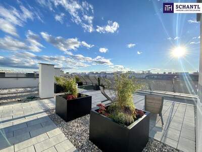 Terrassenwohnung mieten in 2320 Schwechat (Bild 4)