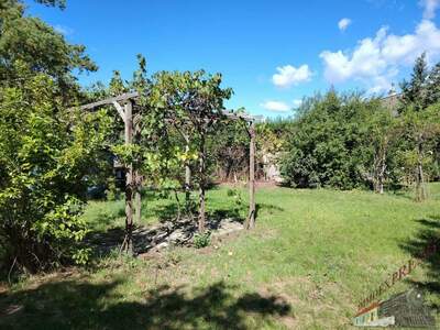 Einfamilienhaus kaufen in 2525 Schönau (Bild 5)