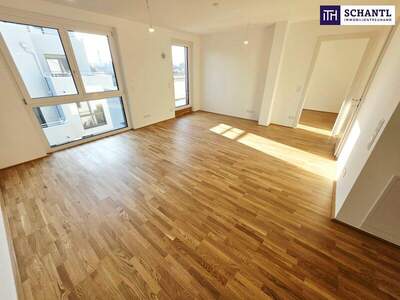 Terrassenwohnung kaufen in 1220 Wien (Bild 1)