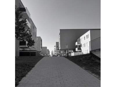 Wohnung kaufen in 4030 Linz
