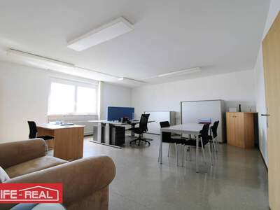 Gewerbeobjekt mieten in 4050 Traun