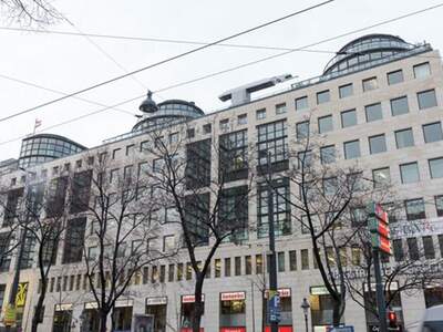 Gewerbeobjekt mieten in 1010 Wien (Bild 1)