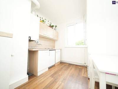 Anlageobjekt kaufen in 1110 Wien