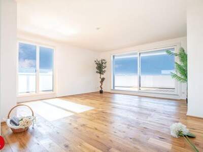 Wohnung mieten in 2320 Schwechat