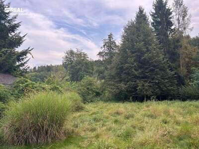 Grundstück kaufen in 8010 Graz