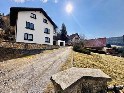 Haus kaufen in 8685 Steinhaus