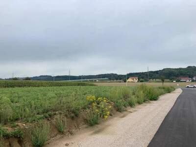 Grundstück kaufen in 3250 Wieselburg