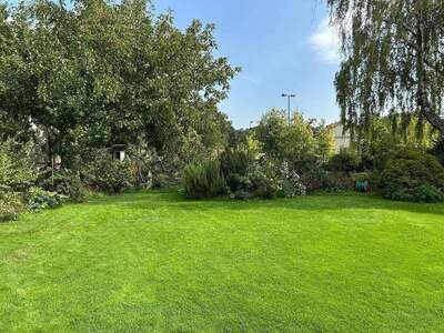 Grundstück provisionsfrei kaufen in 2460 Bruck an der Leitha