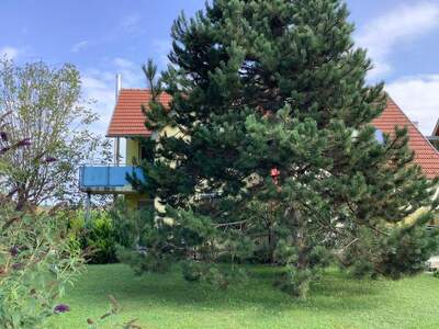 Terrassenwohnung mieten in 8451 Heimschuh (Bild 5)