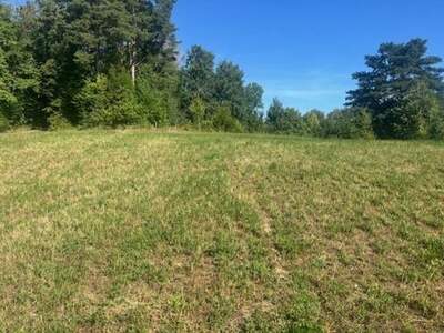 Grundstück kaufen in 7423 Pinkafeld