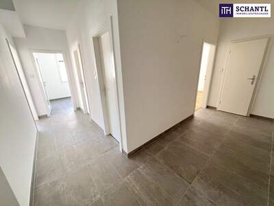 Wohnung kaufen in 1100 Wien (Bild 2)