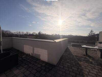 Haus mit Garten kaufen in 2325 Himberg (Bild 5)