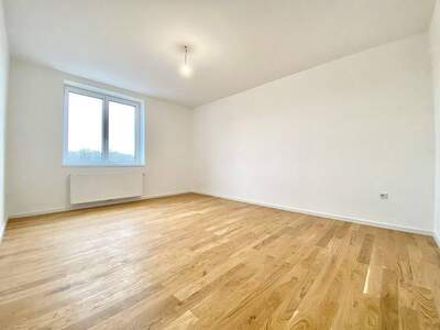 Wohnung mieten in 2000 Stockerau