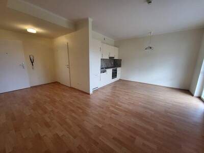 Terrassenwohnung mieten in 2840 Grimmenstein (Bild 5)